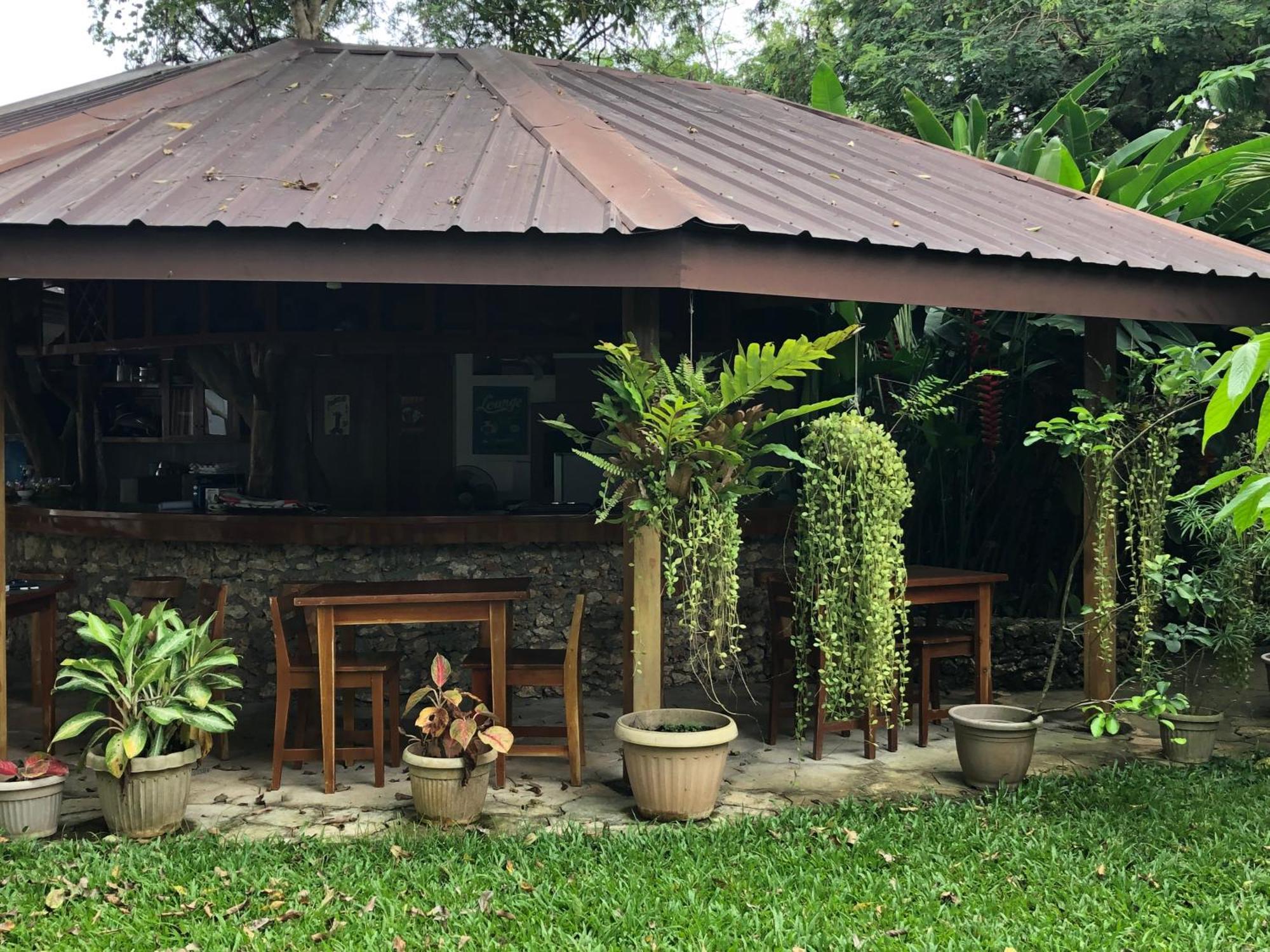 Pahiluna Guesthouse Panglao Bagian luar foto